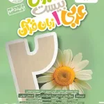 ماجرای بیست عربی دهم خیلی سبز