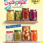 جمع بندی علوم و فنون ادبی کنکور خیلی سبز